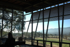 Hamel-Winery-2
